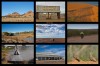 Birdsville Collage  